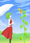 ひまわりの咲く場所で