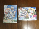買い物20090620予定外1