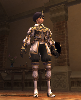 ff11_20191120_brd01.png