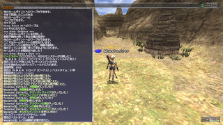 ff11_20201121_trove03.png