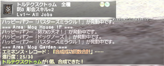 ff11_20210104_goldsmith04.png