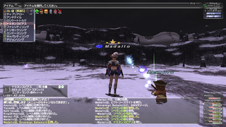 ff11_20210213_dominance01.png
