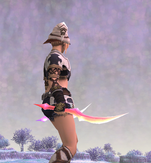 ff11_20210716_aerndagger01a.png