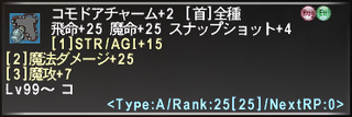 ff11_20250321_cor01.png